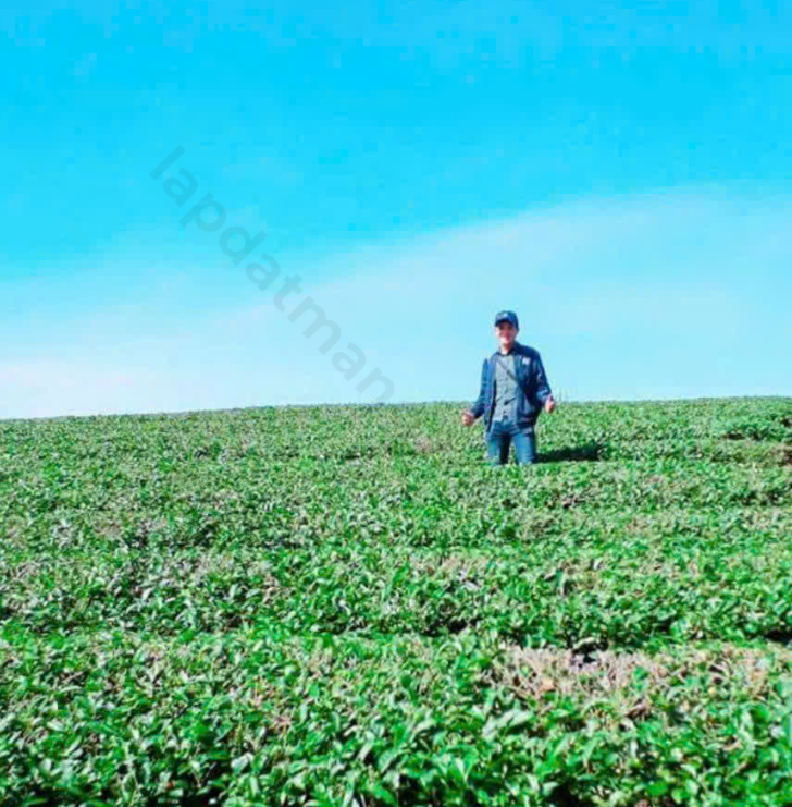 khách hàng anh Vân sử dụng dịch vụ FPT